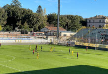 Spettacolo e goal al Rocchi, ma la Viterbese si fa raggiungere dal Potenza. Finisce 3 a 3 Viterbese
