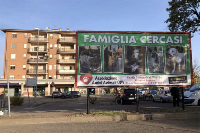 canile bagnaia