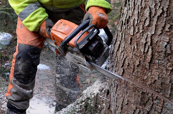 operatore forestal