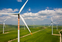 pale eoliche - cover