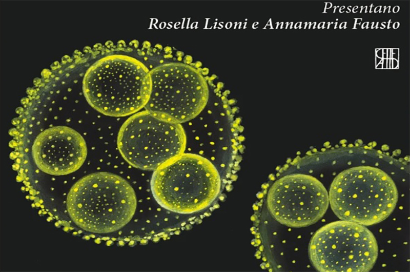 Libro Scapigliati