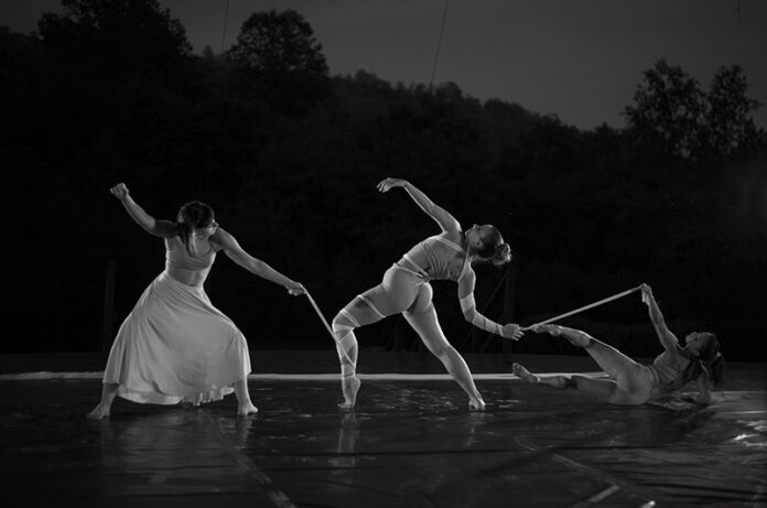 Mandala Dance Company