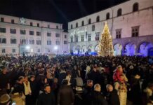 accensione dell'albero VT