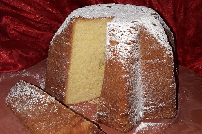 pandoro semi veloce_stefania capati