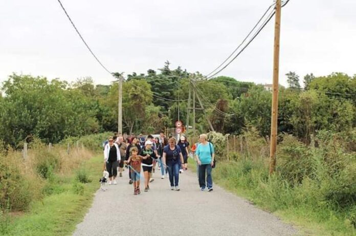 via francigena monterosi