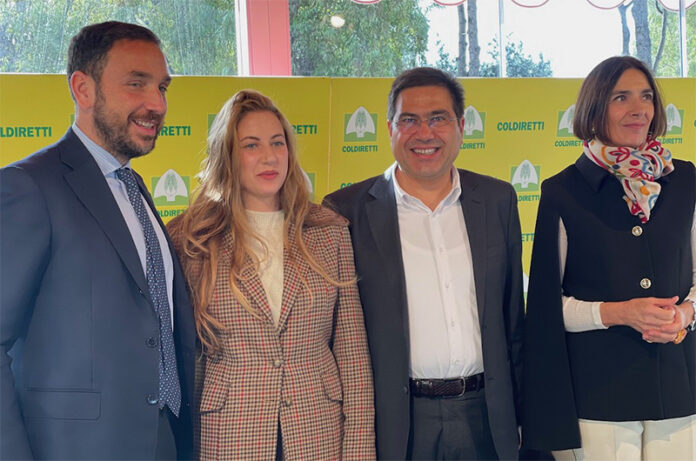 Granieri, Petrucci, D'Amato, Paraluppi