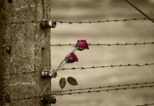 giornata della memoria