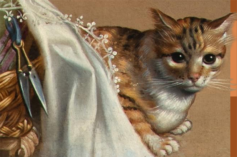 Giornata nazionale Gatto