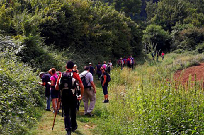 Pellegrini per un giorno sulla via Francigena