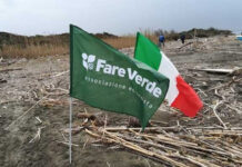 bandiere-fare-verde-e-italiana-sulla-spiaggia