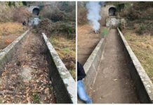 Processed with MOLDIV