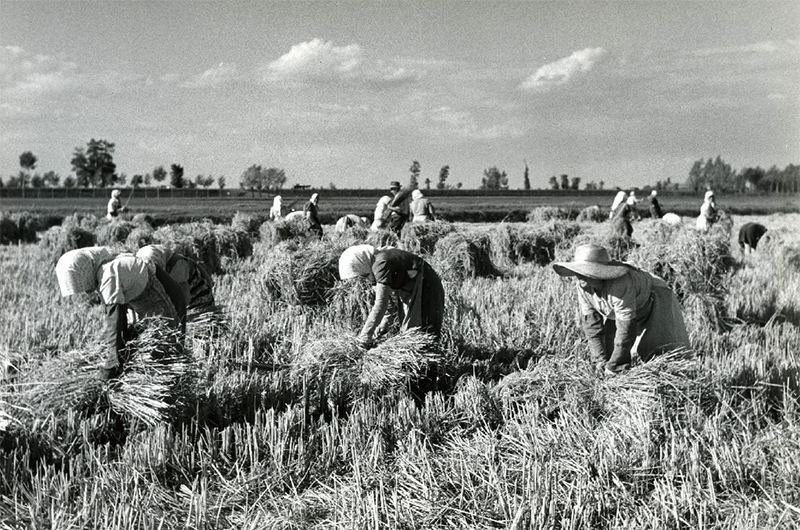lavoratori e lavoratrici della terra