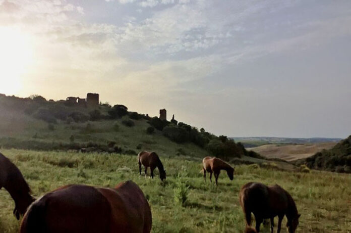 no alla speculazione energetica