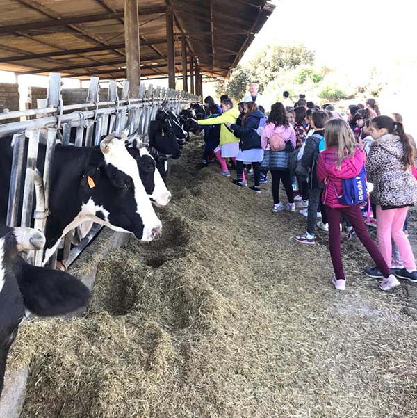 Azienda agricola Marini progetto latte nelle scuole
