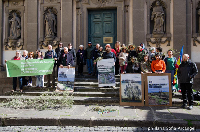 No all'espianto degli ulivi
