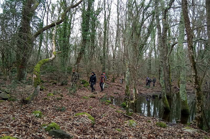Riserva Naturale Regionale_Selva del Lamone