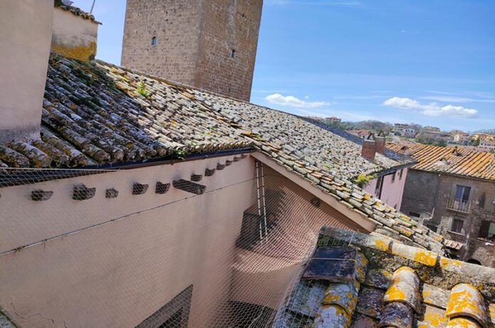 VITORCHIANO_VOLATILI