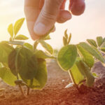 agribiodiversità