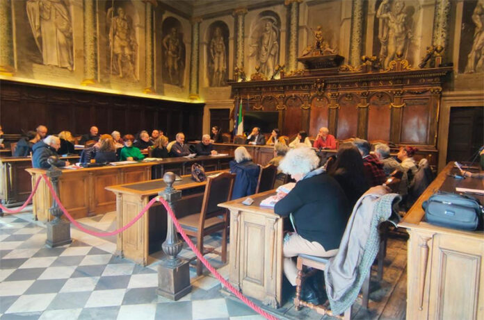 consultaa del volontariato