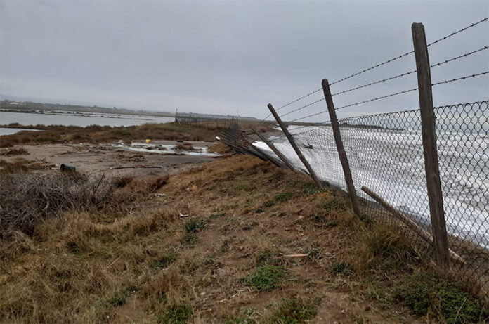 fare verde Il mare d'inverno tarquinia