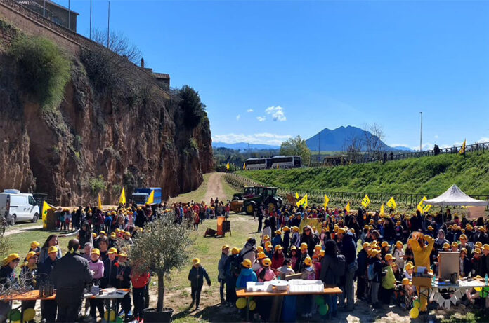 maxi Fattoria in Piazza maxi Fattoria in Piazza