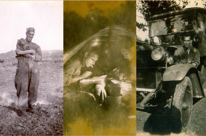 parco Elvio Cardarelli