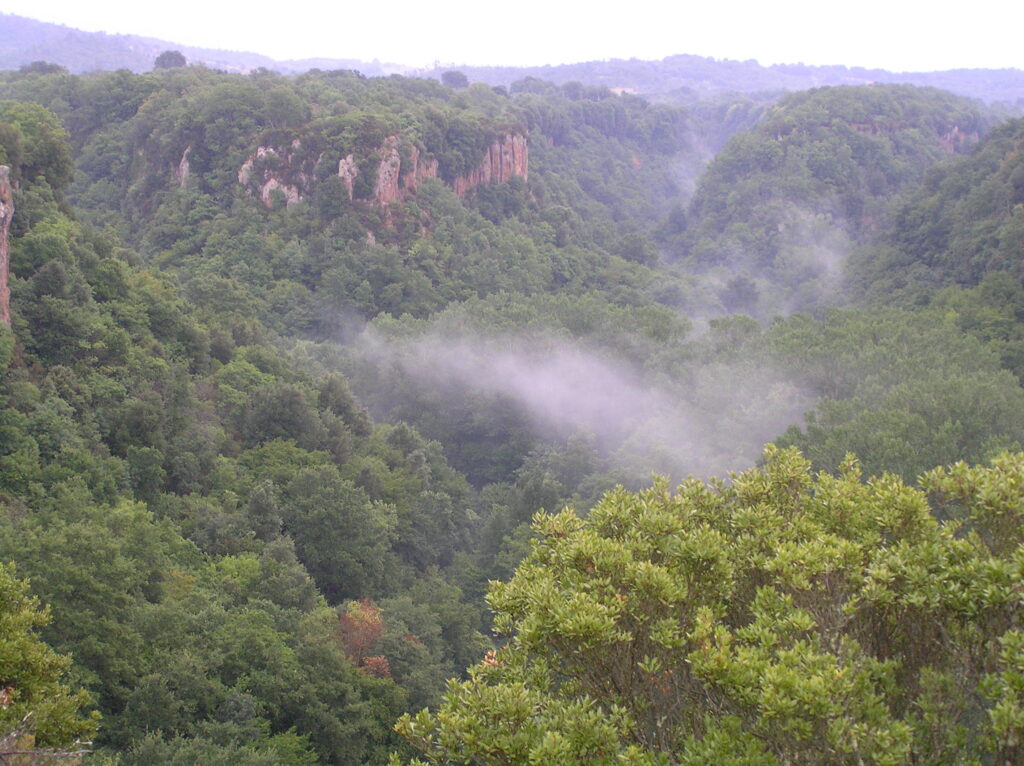 Parco Regionale Marturanum1