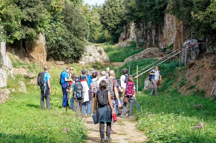 Trekking Agro Flaisco