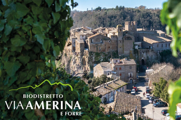 Biodistretto via Amerina_cover