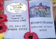 Peperino in Fiore_rinviato al 23-24-25 giugno_Vitorchiano
