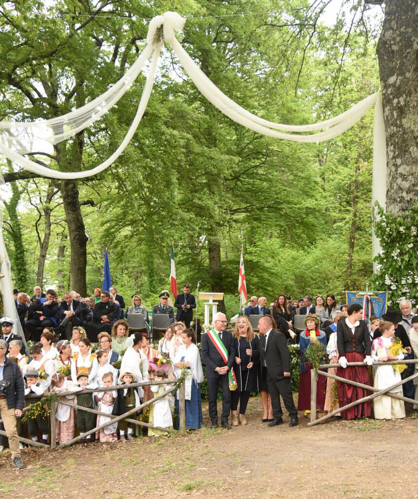 Sposalizio dell'albero9