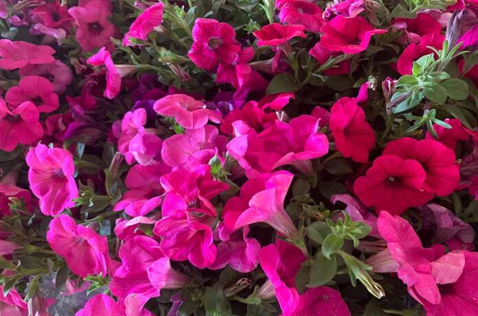 WhatsApp Image 2023-05-10 at 14.58.01