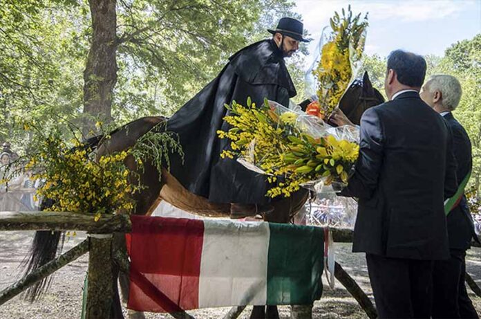 sposalizio-dellalbero