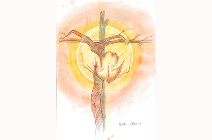 Il disegno dell'artista Marcello Silvestri infiorata vorpus domini cover