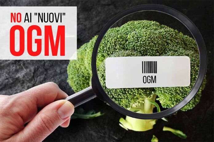 No ai nuovi OGM