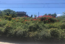 Taglio erbe infestanti in via della Ferrovia, interruzione della circolazione veicolare e pedonale ore 6-12