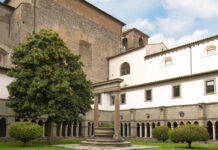 Università degli Studi della Tuscia