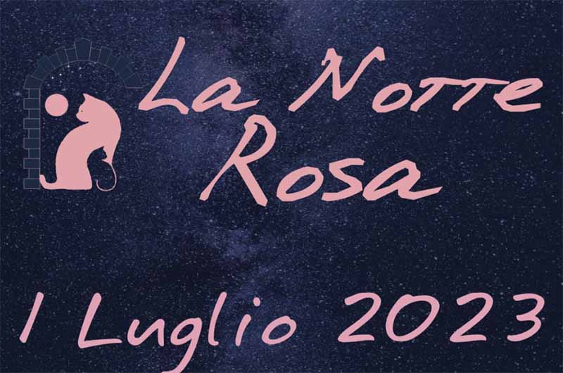 la notte rosa
