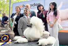 vincitore mostra canina 53esima edizione 2023 Viterbo