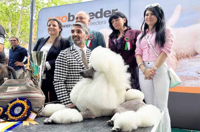vincitore mostra canina 53esima edizione 2023 Viterbo vincitore mostra canina 53esima edizione 2023 Viterbo