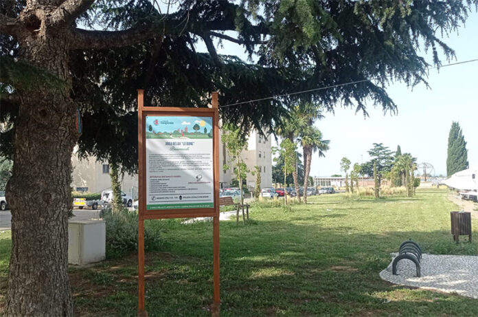 Tarquinia area relax