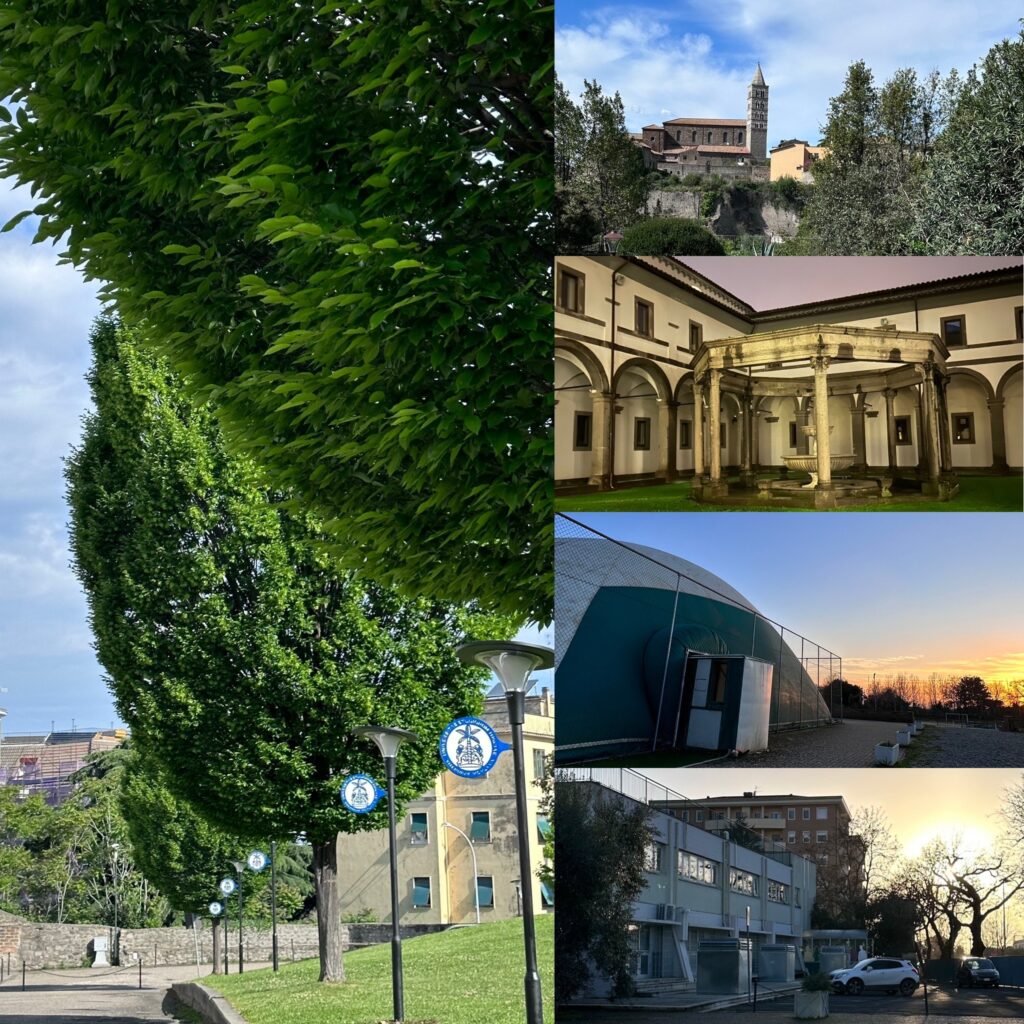 Visite alle strutture