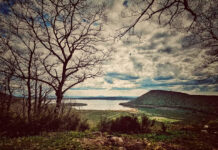 chemical ronciglione