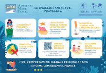 Spiagge, pulizia e tutela, cartello spiega buone pratiche da adottare