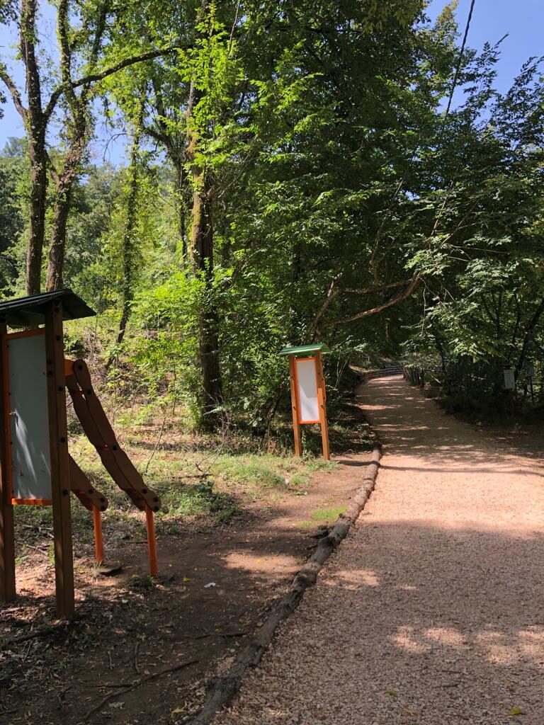 pista ciclabile lago di vico (2)