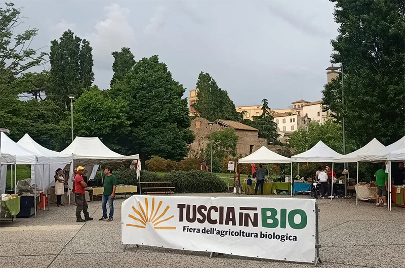 tuscia in bio mercato contadino valle faul