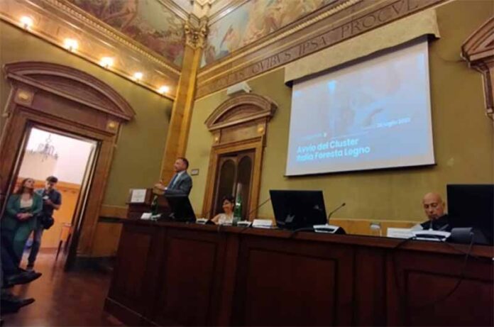 unitus cluster legno