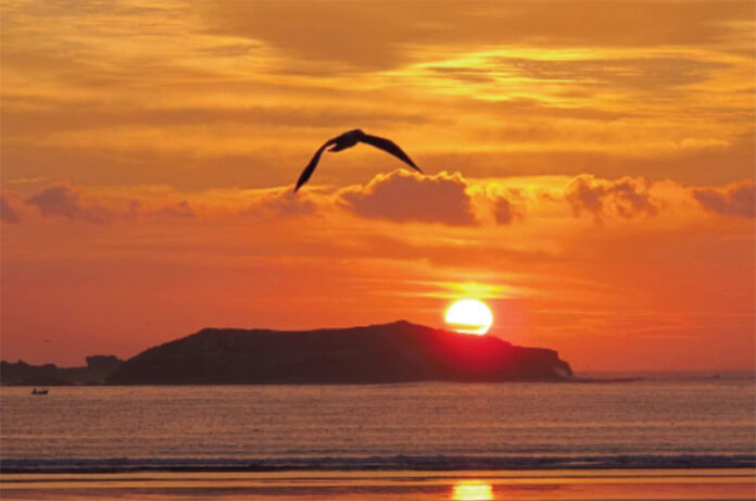 Il-viaggio-di-Amelia_cover Il-viaggio-di-Amelia_cover