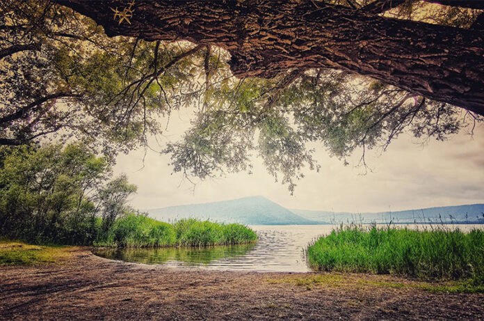 escursione al lago di vico foto @armando di marino_