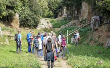 InAgroFalisco: lanciata la nuova sezione “Esperienze” esperienze